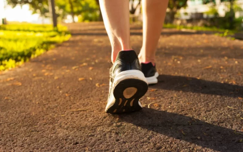 Caminhar aumenta o hipocampo e rejuvenesce o cérebro