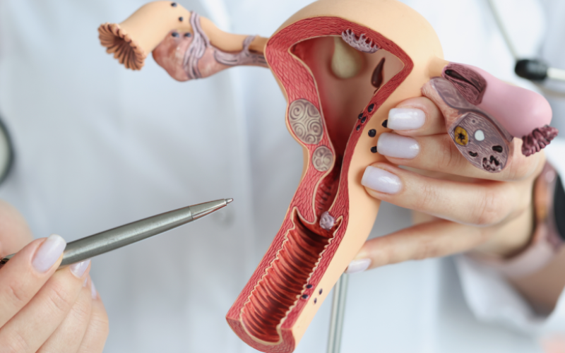 Câncer do colo uterino: alerta e prevenção