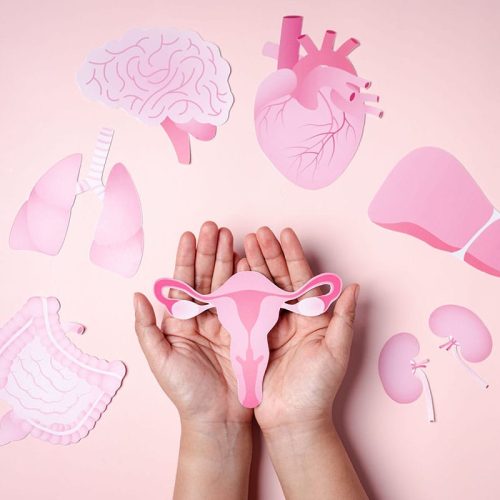 Do início ao pós: as fases da Menopausa