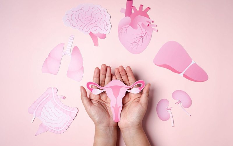 Do início ao pós: as fases da Menopausa